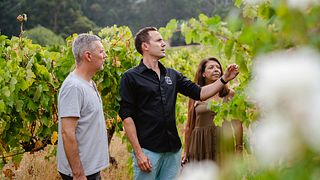 Route des vins de Perth Hills – Visite privée l'après-midi