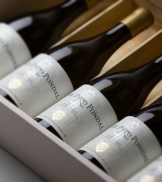 Cata de vinos y visita guiada en Pazo Pondal