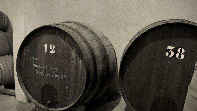 Bodega Las Virtudes