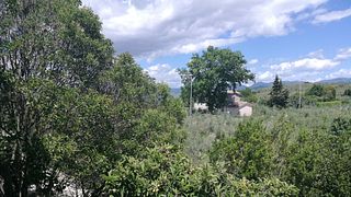 Wein- und Olivenölverkostung am Colle del Saraceno