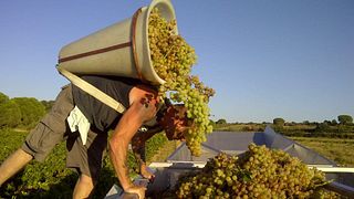 Wine Tasting and Tour at Domaine Boudau