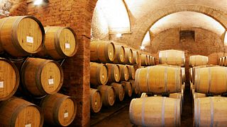 Dégustation de vins et visite à la Villa S. Anna