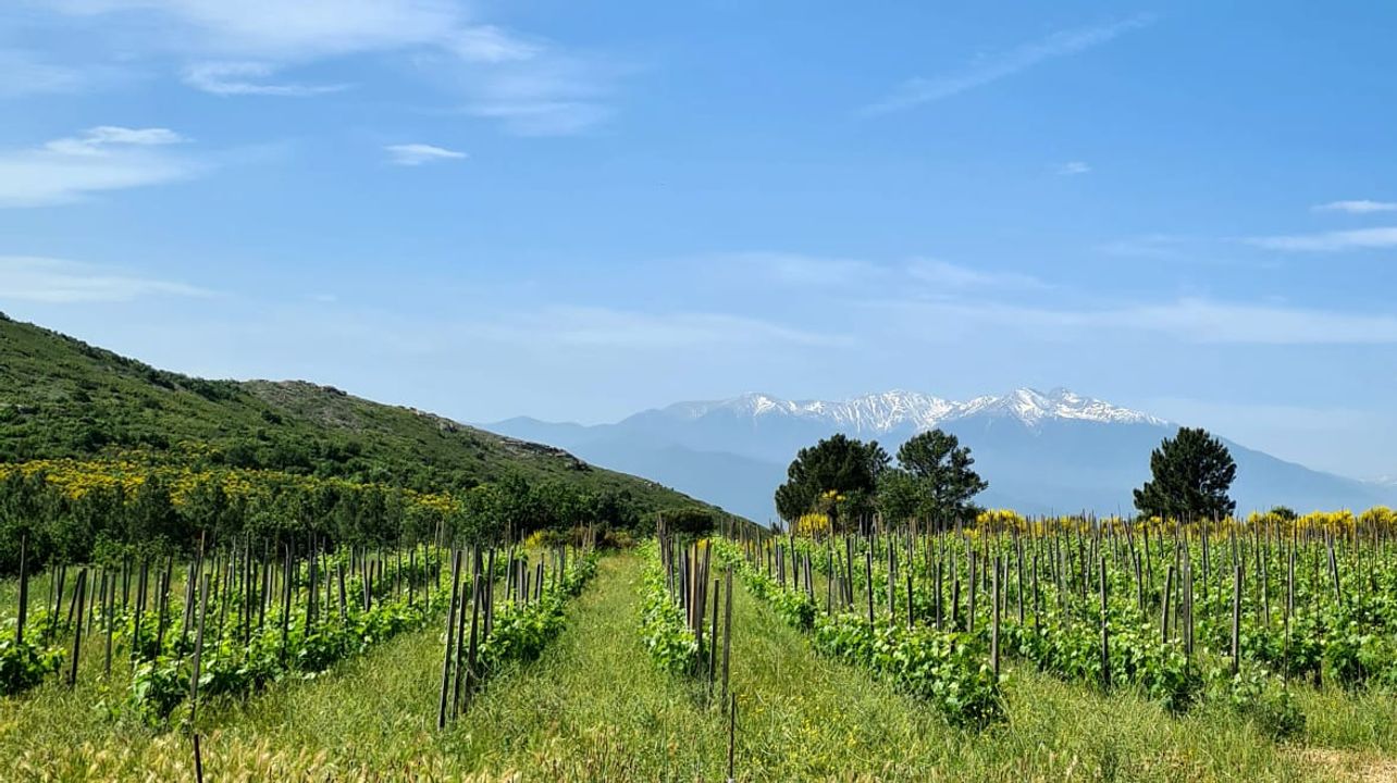 Domaine Clot de l'Oum