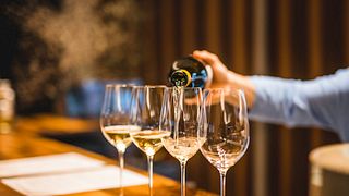 Degustazione di vini premium presso l'azienda vinicola Ferdinand