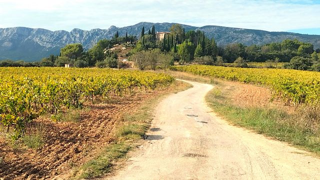 Più di un tour del vino: una giornata come la gente del posto nella campagna autentica