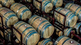 Cata y visita de vinos en Bodega Vinaguarena