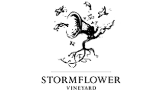 Dégustation de vins et visite du vignoble Stormflower