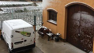 Degustazione di vini e tour a Cavas Ferret