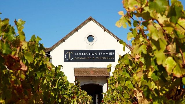 Burgundische Rebsorten entdecken | Maison L. Tramier & Fils