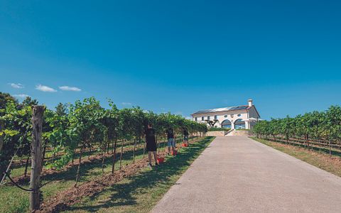 Vacaciones en Asolo en Progress Country and Wine House