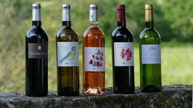 Aromatisk ekologisk vinprovning på Domaine de Grimardy