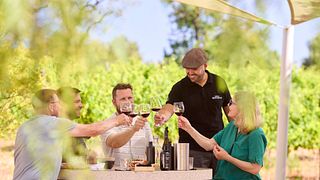 Vin- och olivoljeprovning