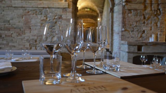 Degustazione di vini e tour alle Tenute Aliani