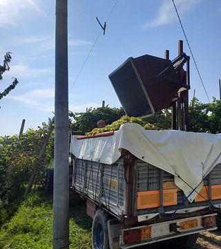 Degustazione e visita presso la Società Agricola Siro Merotto