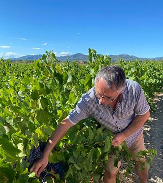 Cata de vinos y visita al Domaine de Mas Caron