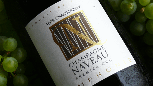 Vinprovning och rundtur på Champagne Naveau