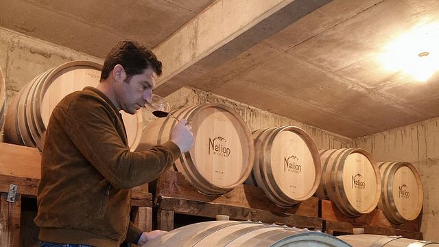 Nelion Winery