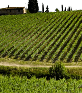 Weinprobe im Ruffino Poggio Casciano