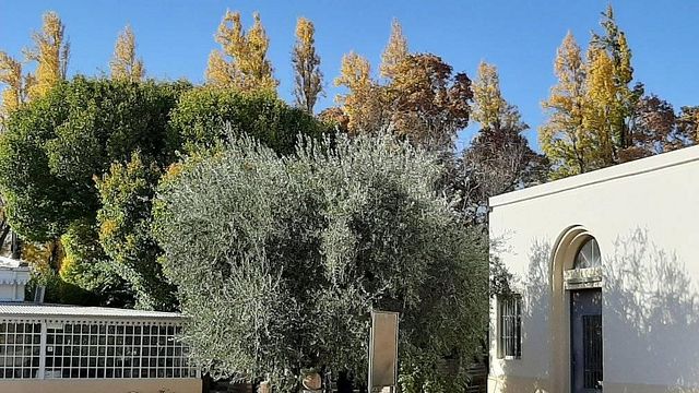 Dégustation de vins et visite chez Carinae