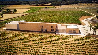 Bodega Son Juliana