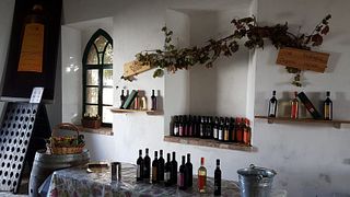 Klassische Weinprobe und Tour bei Ca‘ D Tantin Organic Wines