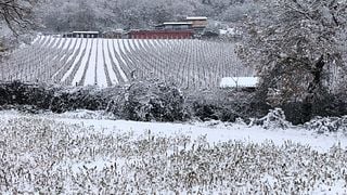 Discover Abruzzo Wine & Food Pairing at Castelsimoni