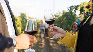 Borgo Turrito Winery
