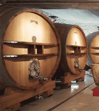 Dégustation et visite de Champagne au Champagne Gruet