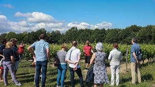 Domaine Tour and Tasting at Domaine Poncereau de Haut