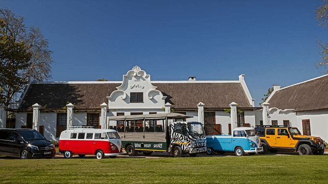 Wine Valley Safari
