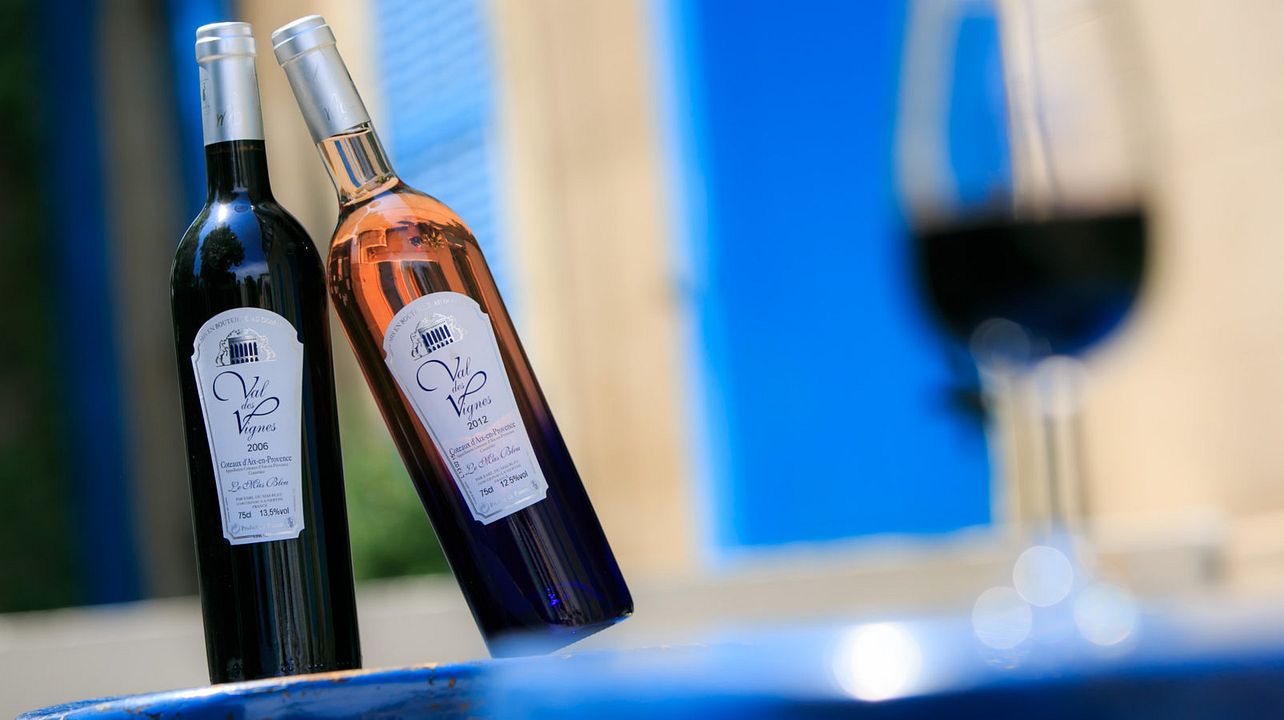 Weinprobe und Führung im Domaine Du Mas Bleu