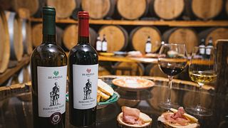Cata de vinos y visita a la bodega Cantine De Angelis 1930