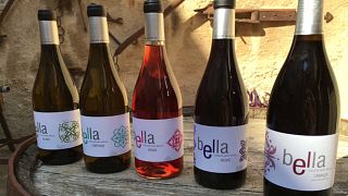 Esperienza enologica al Celler Mas Bella
