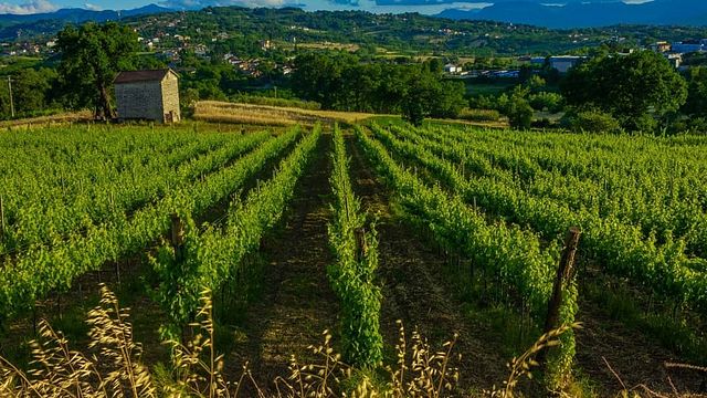 Macchie Santa Maria Cantine