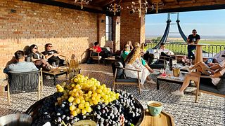 Visite du vignoble de Dealu Mare : dégustation de vins et accords mets et vins