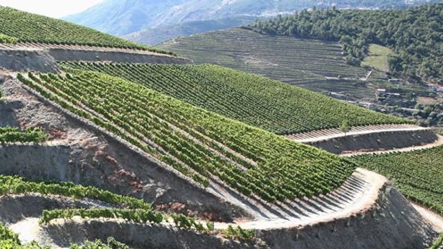 Fonseca Porto