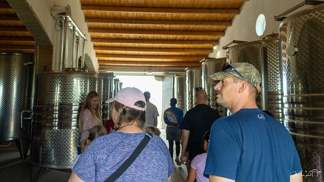 Sicily’s Organic Wine & Vineyard Tour at Tenuta Bastonaca