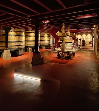 Rioja's Heritage: Winery Tour & 5-Wine Tasting in Haro