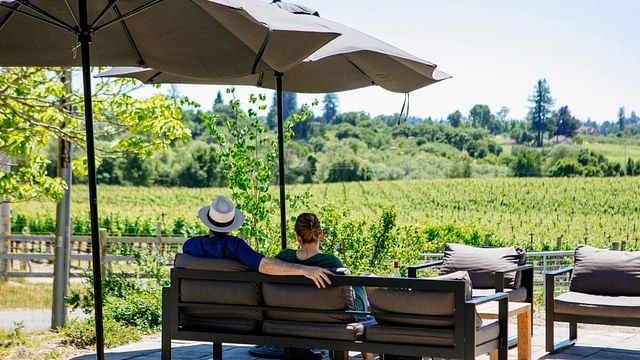 Degustazione di vini e visita ai vigneti Emeritus