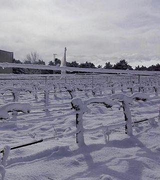 Vinprovning och rundtur på Bodegas Navaltallar