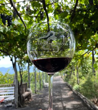 Degustação de vinhos e almoço no vinhedo Vesúvio em Tenuta Le Lune del Vesuvio