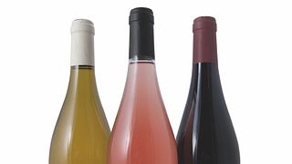 Languedoc-Roussillon Terroir Tasting & Local Bites