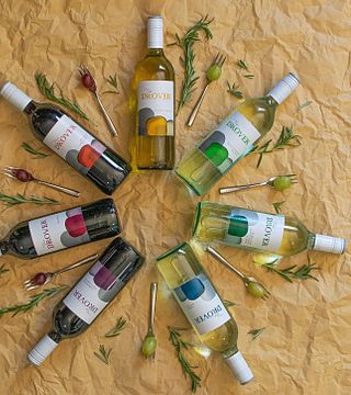 Dégustation de vins et visite du domaine viticole Dee Vine