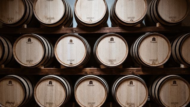 Complete Tasting at Tenuta di Montefoscoli