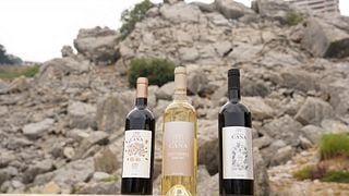 Château Cana: A Legacy of Lebanese Winemaking