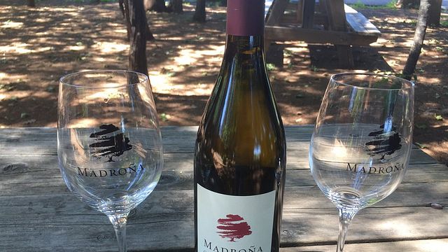 Degustação de vinhos e tour nos vinhedos de Madroña