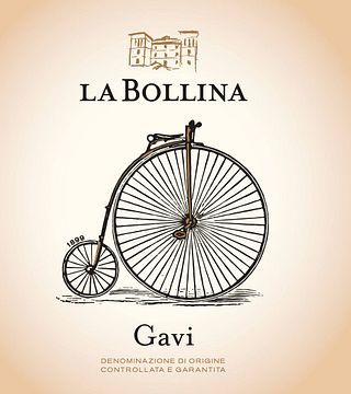 Cata de vinos y visita guiada en Società Agricola La Bollina