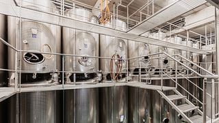 Behind the Wines: Cellar Tour & Tasting Experience