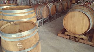 Besök och vinprovning på Winter Brook Vineyard