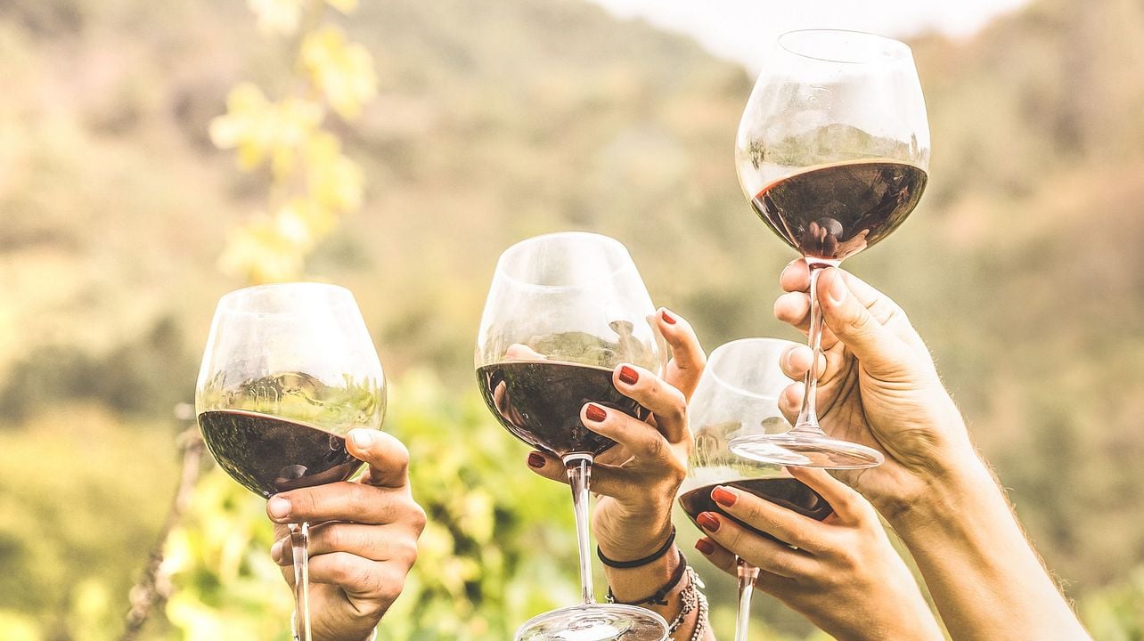 Degustação de vinhos e tour no Chateau Nakad